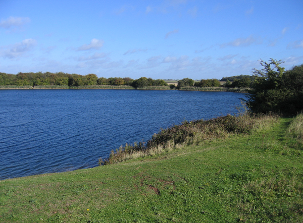 The lake at Eye Green Nature Reserve, Peterborough