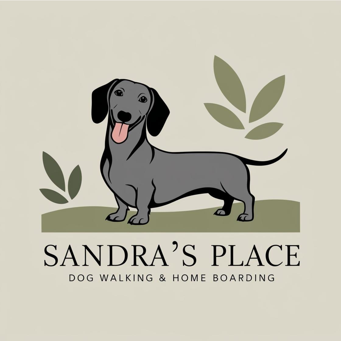Sandra's Place for Dogs, dog walking and home boarding